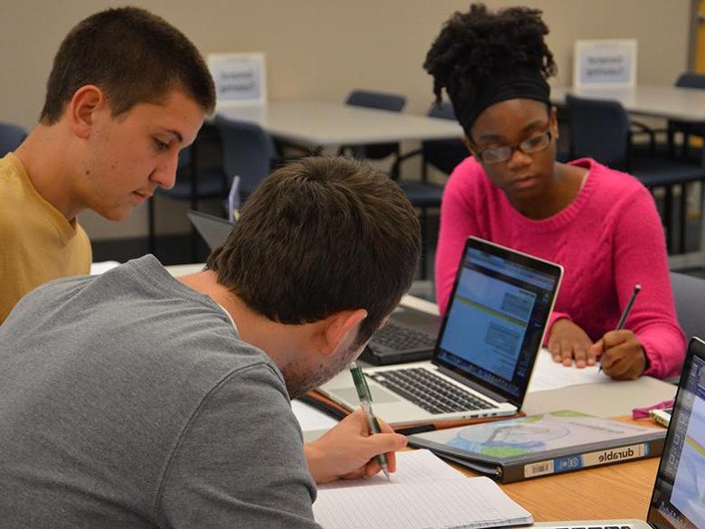 Students studying in the Eiche Library
